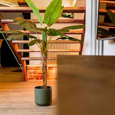 Il Melograno Bed & Breakfast Santeramo in Colle Exterior photo